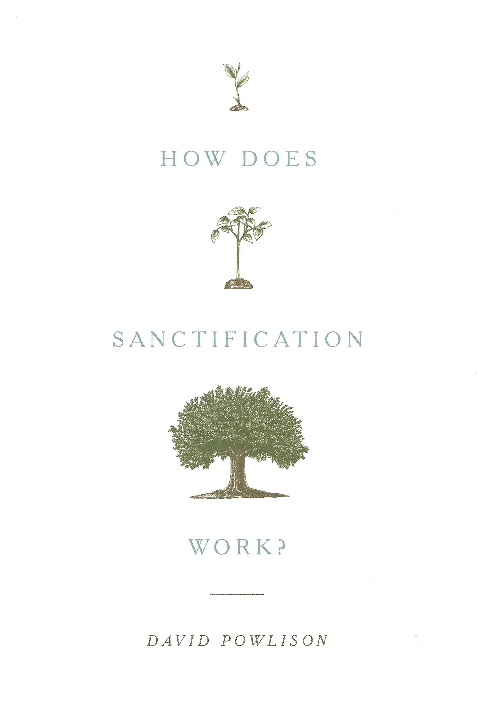 HOW DOES SANCTIFICATION WORK David Powlison - Click Image to Close